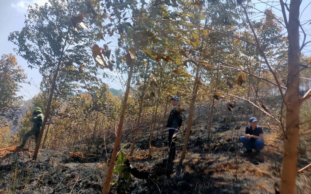 2 người tử vong trong vụ cháy rừng bạch đàn ở xã Hơ Moong