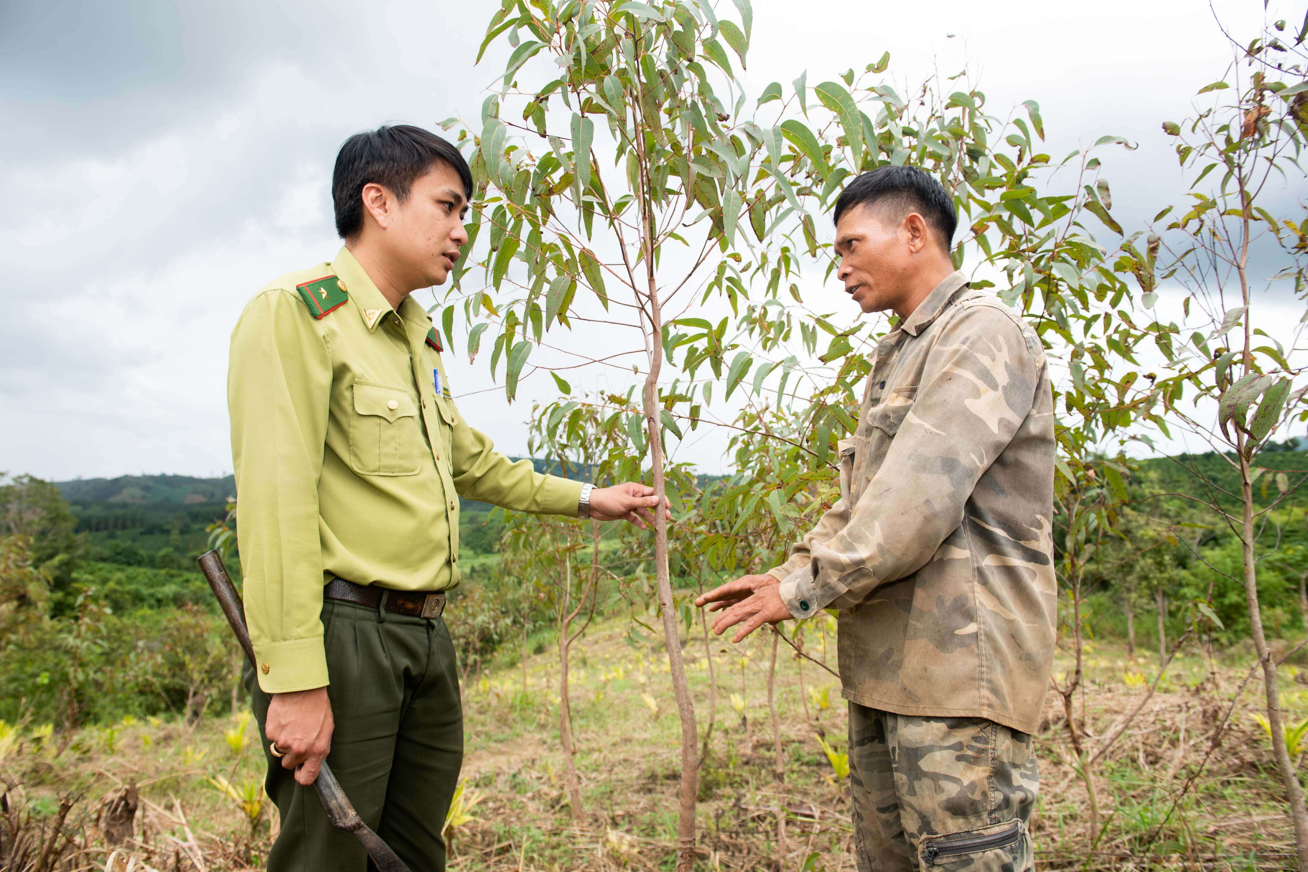 Đồng bào DTTS ở xã Hơ Moong chung tay trồng rừng