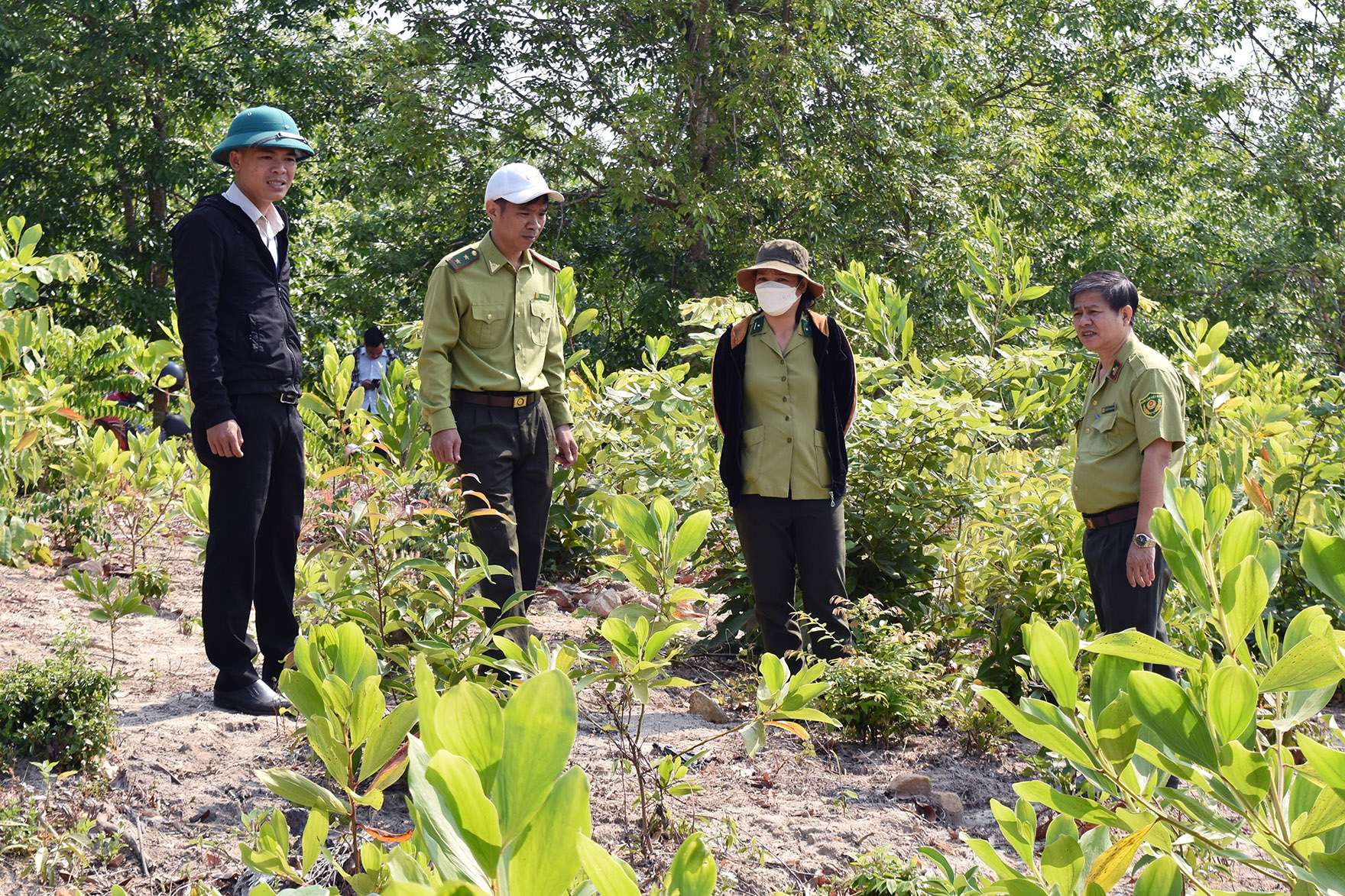 Chung tay quản lý, bảo vệ rừng