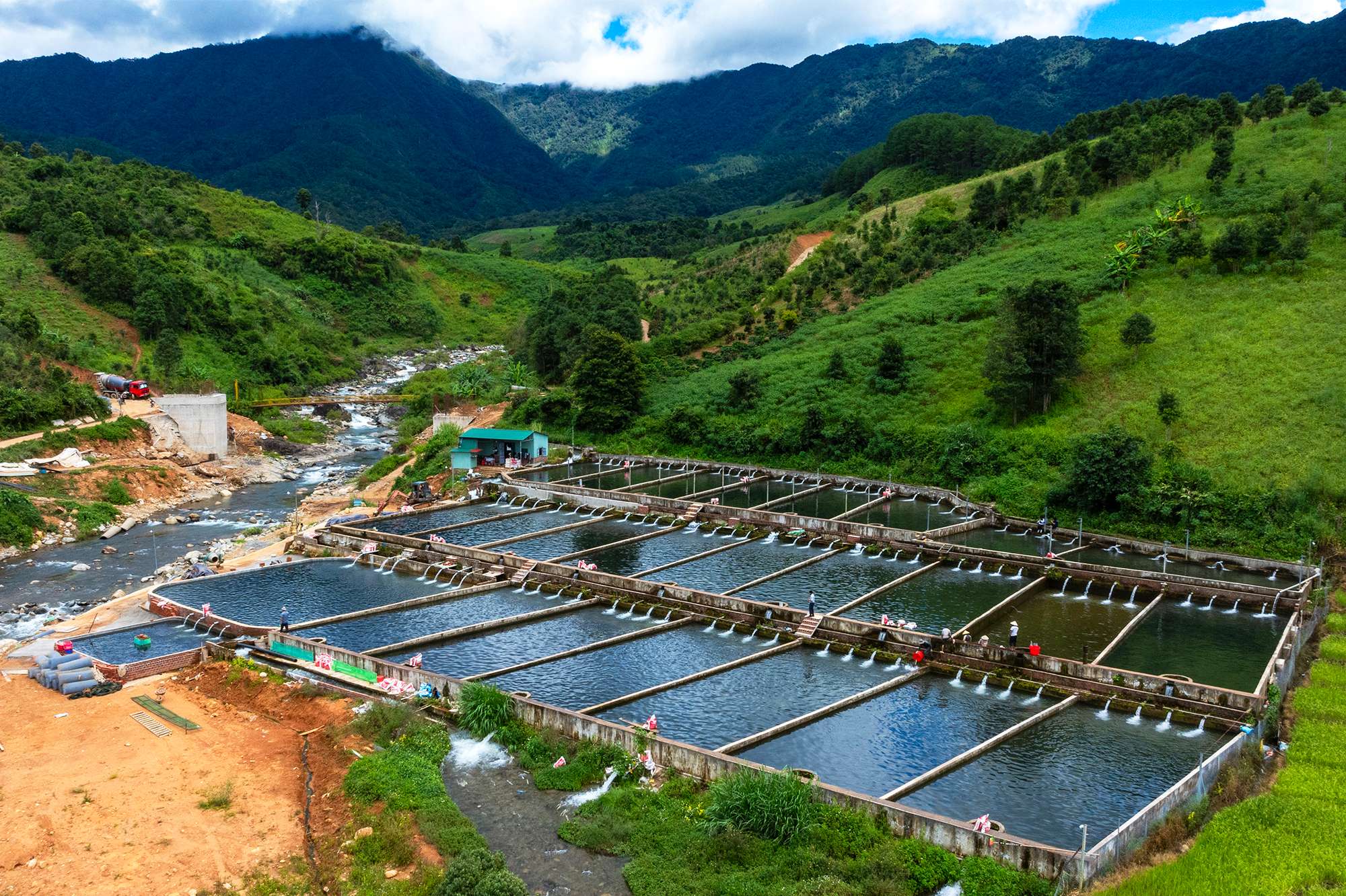 Triển vọng nuôi cá nước lạnh dưới chân núi Ngọk Kal