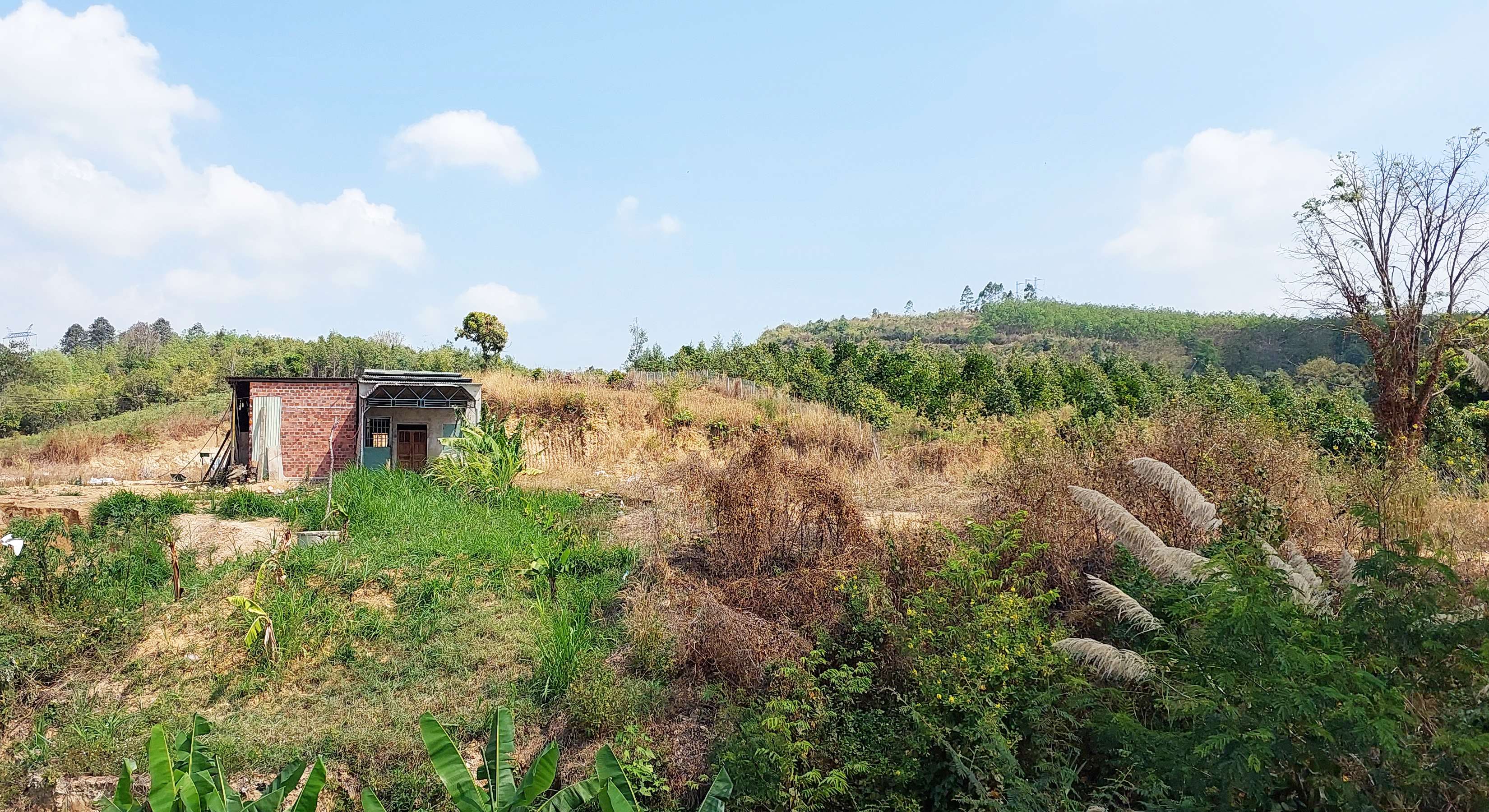 Chống lãng phí đất đai