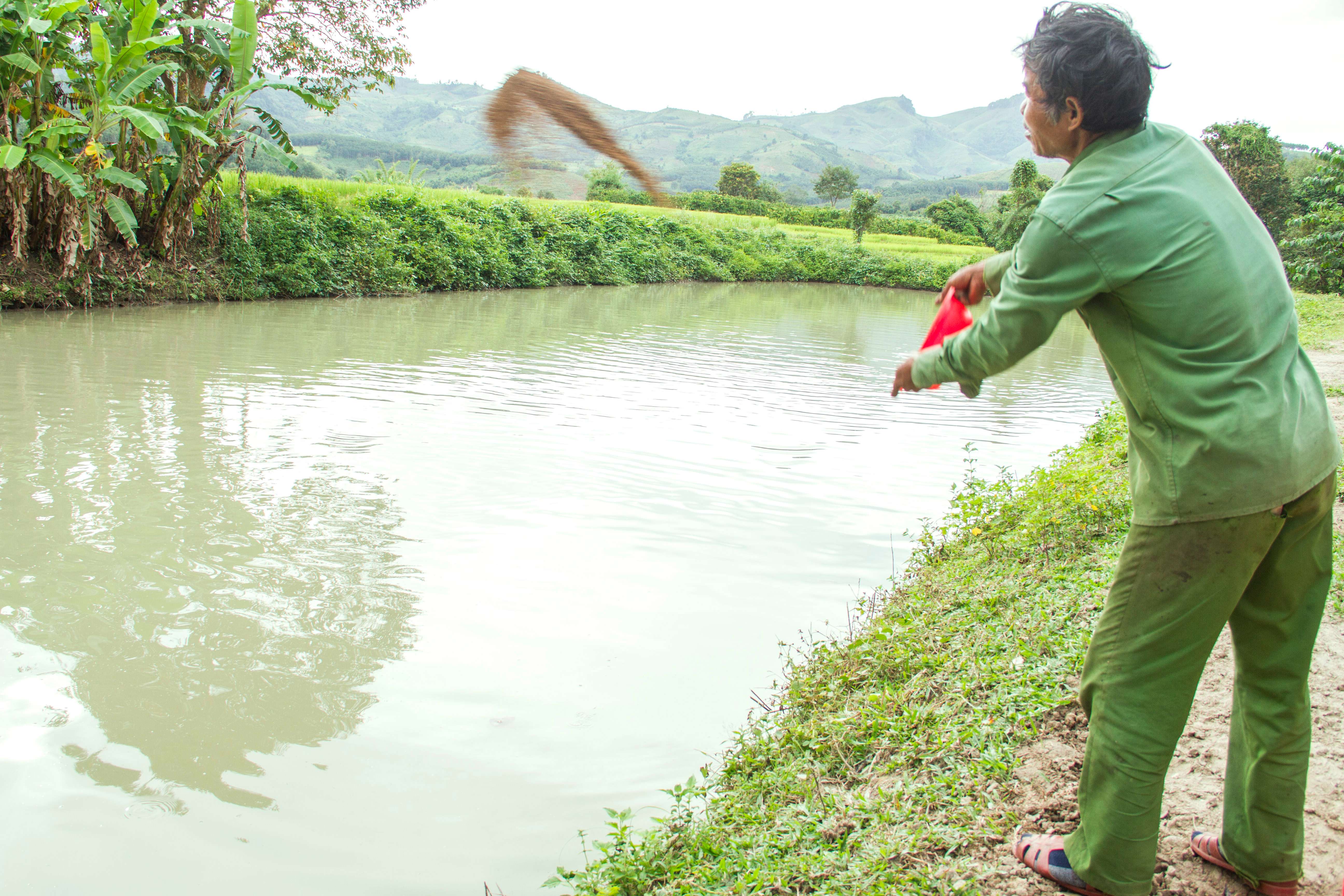TPHCM Các mô hình nuôi trồng thủy sản bền vững cho huyện Cần Giờ